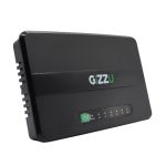 Gizzu