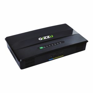 Gizzu
