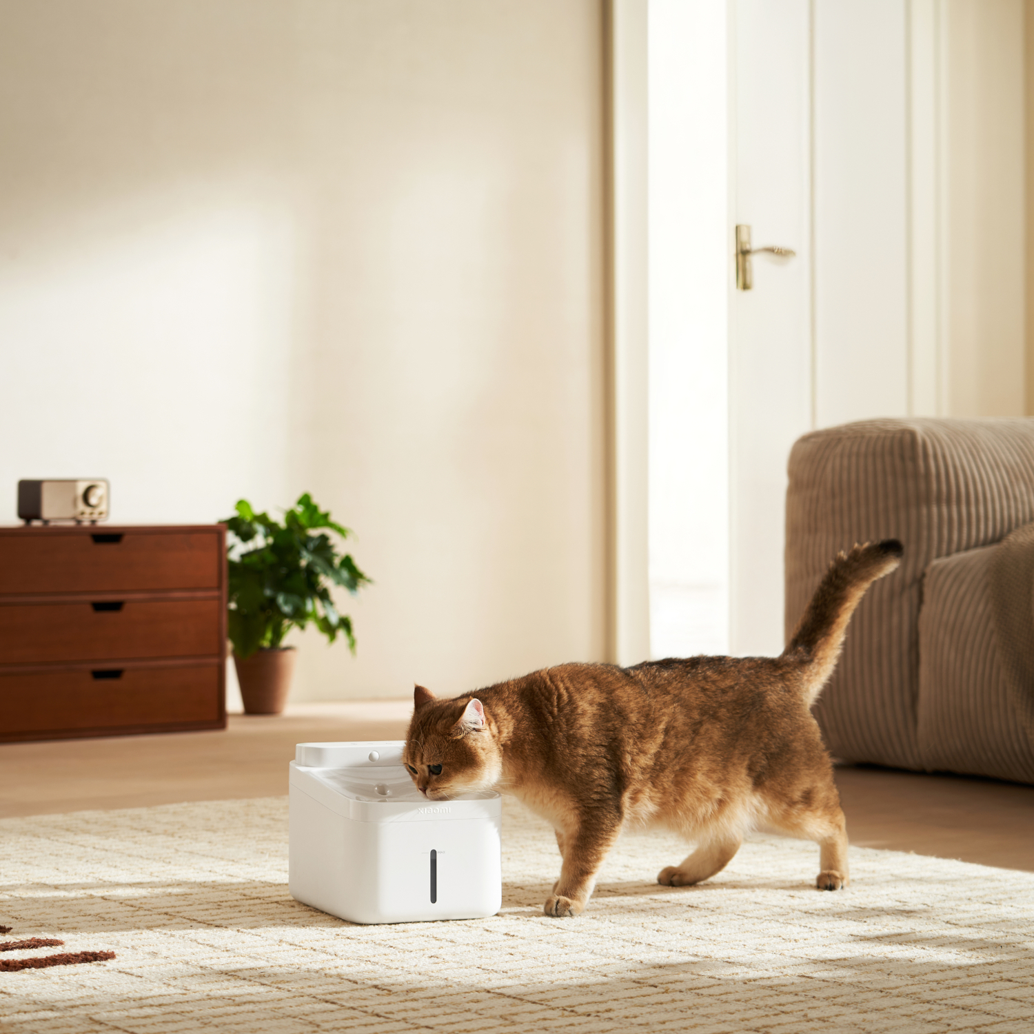 Xiaomi Smart Pet Fountain 2 - Image 4