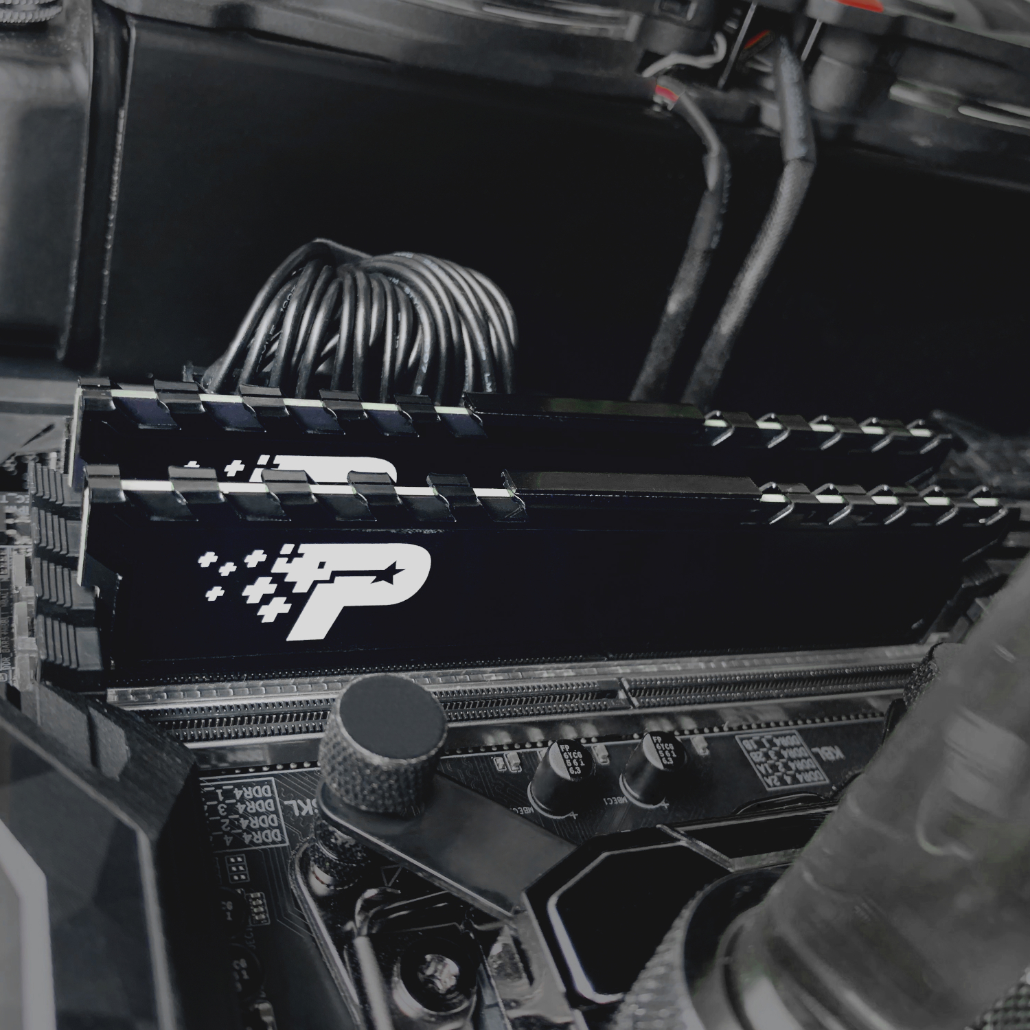 Patriot Signature Premium Line DDR4 16GB 3200MHz UDIMM - Image 4